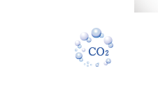 Carbonated Face Mask